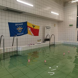 Первенство по судомоделизму города Воронежа